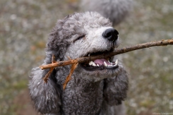 This is MY stick!